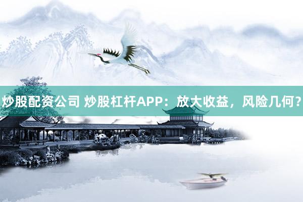 炒股配资公司 炒股杠杆APP：放大收益，风险几何？