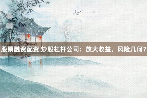 股票融资配资 炒股杠杆公司：放大收益，风险几何？