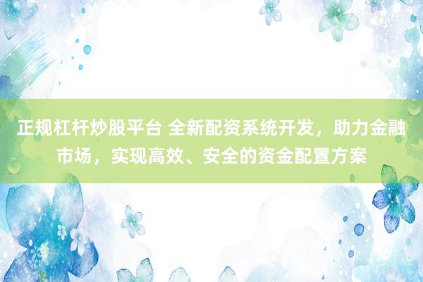正规杠杆炒股平台 全新配资系统开发，助力金融市场，实现高效、安全的资金配置方案