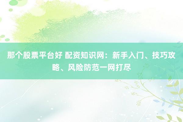 那个股票平台好 配资知识网：新手入门、技巧攻略、风险防范一网打尽