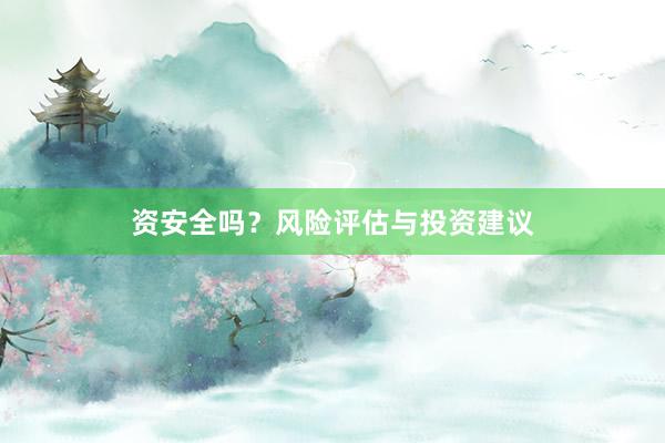 资安全吗？风险评估与投资建议