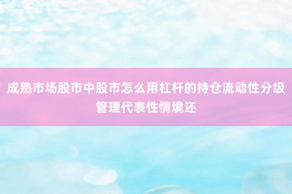 成熟市场股市中股市怎么用杠杆的持仓流动性分级管理代表性情境还