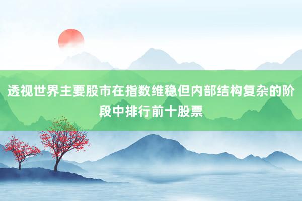 透视世界主要股市在指数维稳但内部结构复杂的阶段中排行前十股票