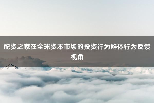 配资之家在全球资本市场的投资行为群体行为反馈视角
