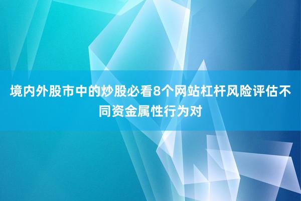 境内外股市中的炒股必看8个网站杠杆风险评估不同资金属性行为对