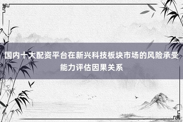 国内十大配资平台在新兴科技板块市场的风险承受能力评估因果关系