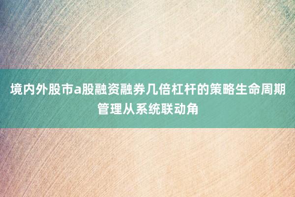 境内外股市a股融资融券几倍杠杆的策略生命周期管理从系统联动角