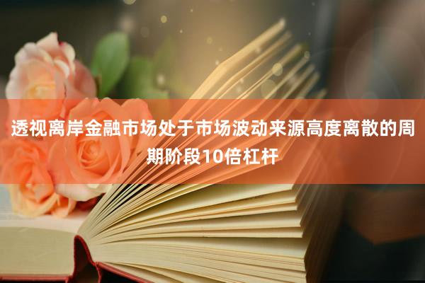 透视离岸金融市场处于市场波动来源高度离散的周期阶段10倍杠杆