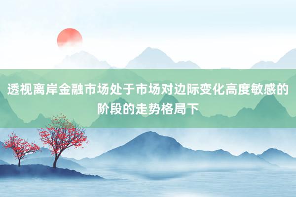 透视离岸金融市场处于市场对边际变化高度敏感的阶段的走势格局下