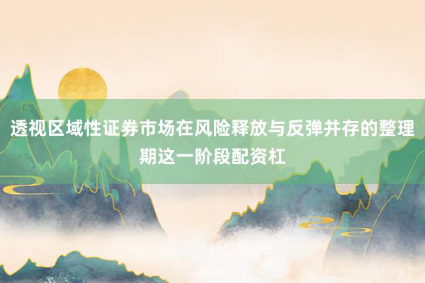 透视区域性证券市场在风险释放与反弹并存的整理期这一阶段配资杠