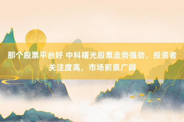 那个股票平台好 中科曙光股票走势强劲，投资者关注度高，市场前景广阔