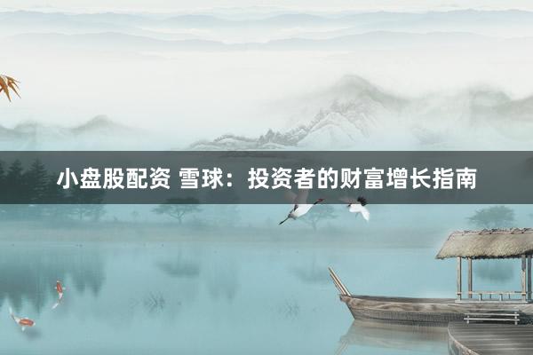 小盘股配资 雪球：投资者的财富增长指南